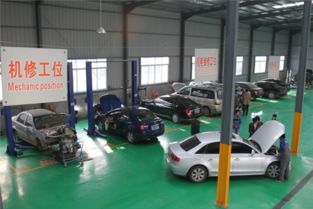 盛德奇嘉加盟 掘金汽車裝飾用品市場的商業新機遇